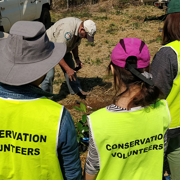 									NRMA														Conservation Volunteers Australia Partnership & Activation 								